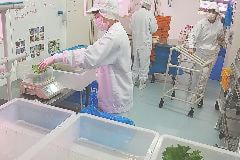 障がい者の皆様へのリンク画像